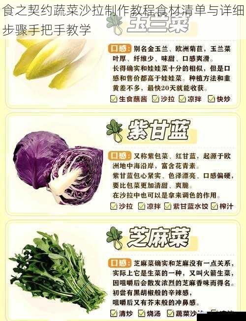 食之契约蔬菜沙拉制作教程食材清单与详细步骤手把手教学